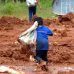 Trabalho infantil recua no Brasil, mas ainda afetava 1,6 milhão em 2023, aponta IBGE